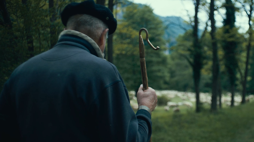 L'ADN Des Pyrénées